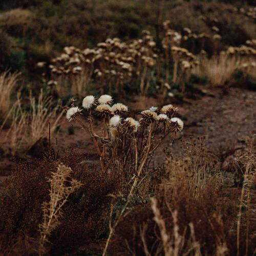 Shaolin Afronauts - The Fundamental Nature of Being: Part Two