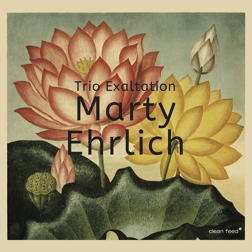 Marty Ehrlich - Trio Exaltation