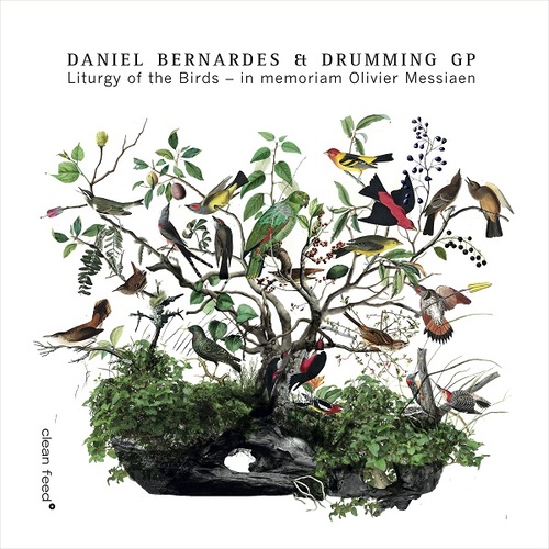 Daniel Bernardes & Drumming GP - Liturgy of the Birds