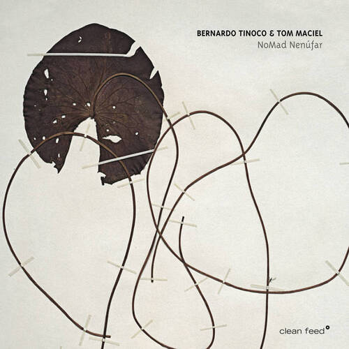 Bernardo Tinoco & Tom Maciel - Bernardo Tinoco & Tom Maciel