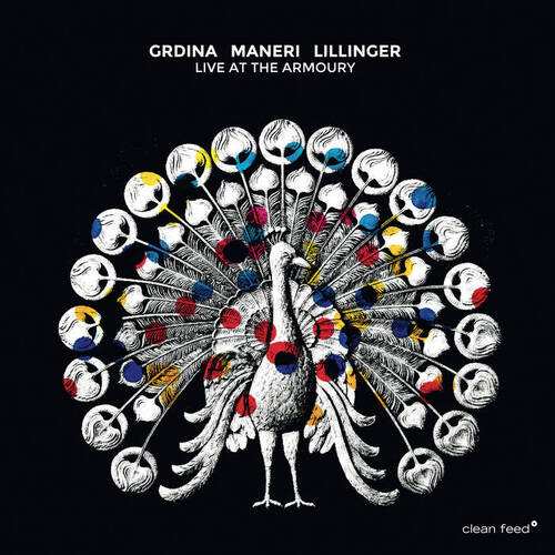 Gordon Grdina, Mat Maneri & Christian Lillinger - Live at the Armoury