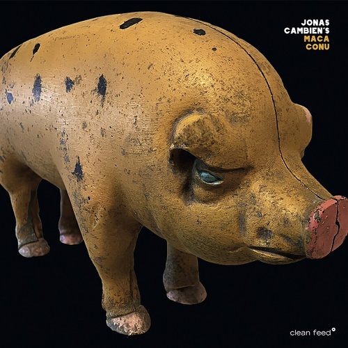 Jonas Cambien's - Maca Conu