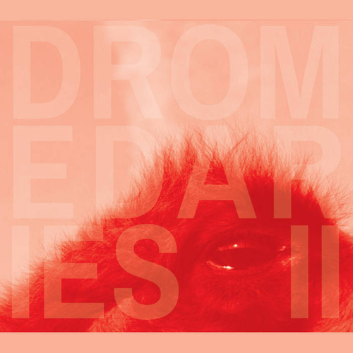 Keir Neuringer, Shayna Dulberger, Julius Masri - Dromedaries II