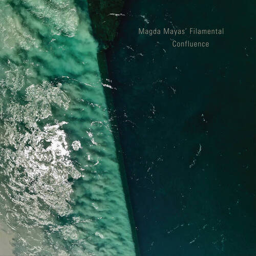 Magda Mayas' Filamental  - Confluence