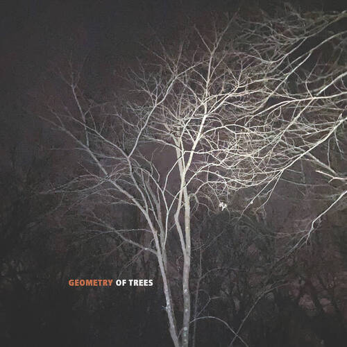 Tomeka Reid - Geometry Of Trees