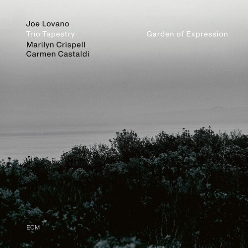 Joe Lovano Trio Tapestry - Garden of Expression - Vinyl LP