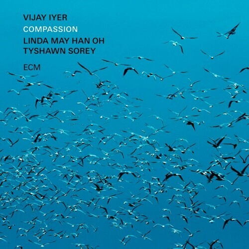 Vijay Iyer / Linda May Han Oh / Tyshawn Sorey - Compassion - 2 x Vinyl LPs