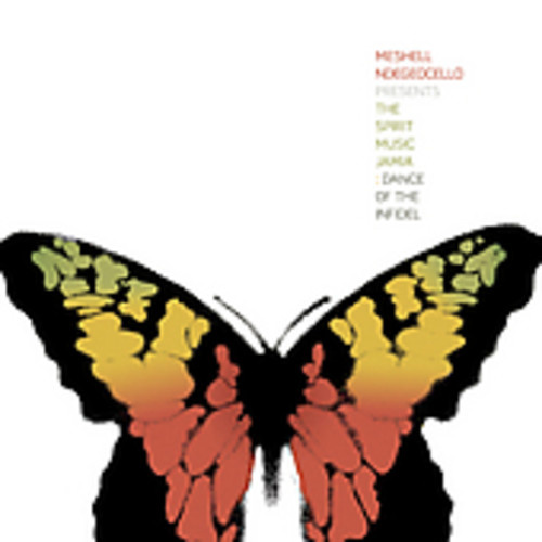 Me'Shell Ndegeocello - Dance of the Infidel