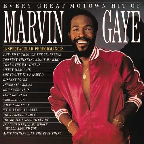 Marvin Gaye - Every Great Motown Hit Of Marvin Gaye - Vinyl LP
