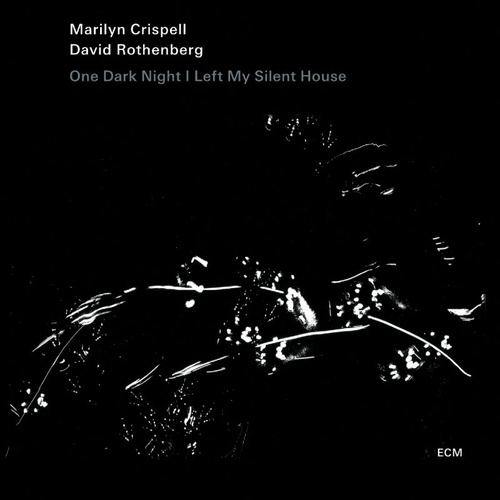 Marilyn Crispell & David Rothenberg - One Dark Night I Left my Silent House
