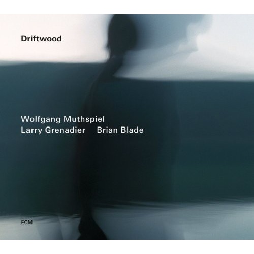 Wolfgang Muthspiel - Driftwood