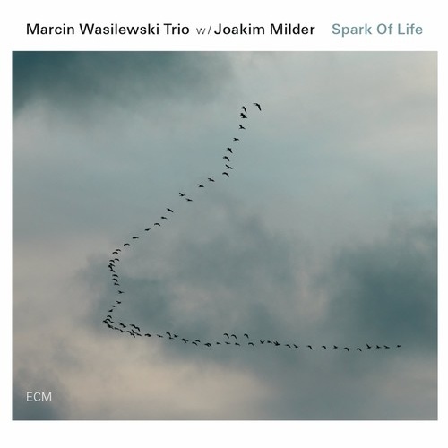 Marcin Wasilewski Trio - Spark of life