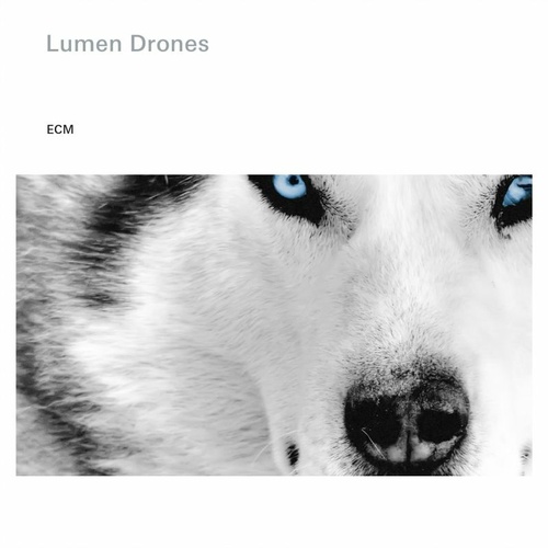Nils Okland / Lumen Drones - Lumen Drones