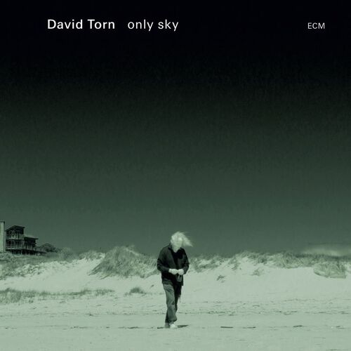 David Torn - Only Sky