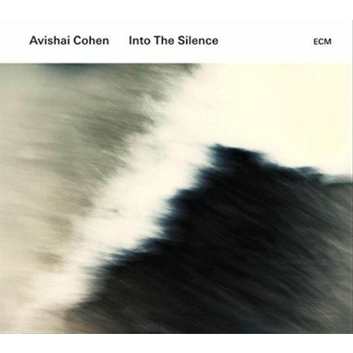 Avishai Cohen - Into the Silence