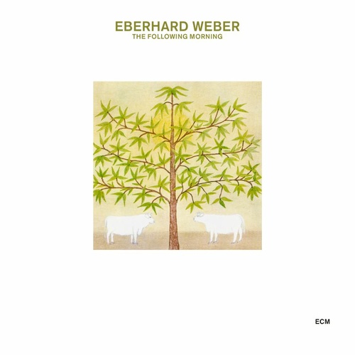 Eberhard Weber - The Following Morning