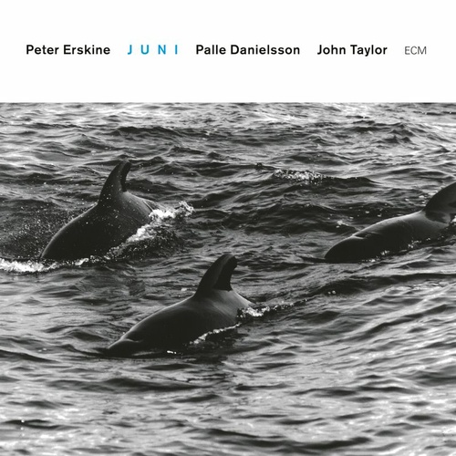 Peter Erskine - Juni