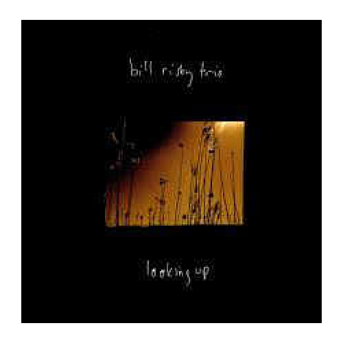 Bill Risby Trio - looking up