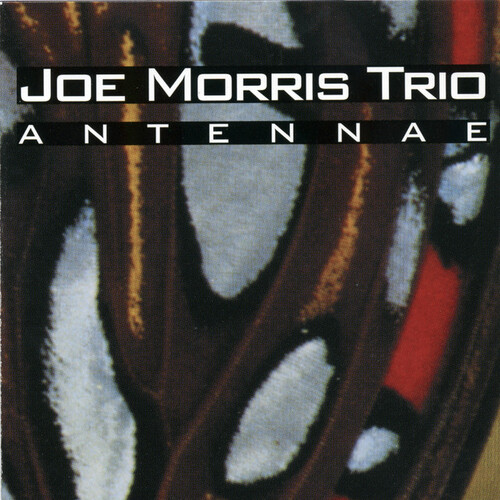 Joe Morris Trio - Antennae