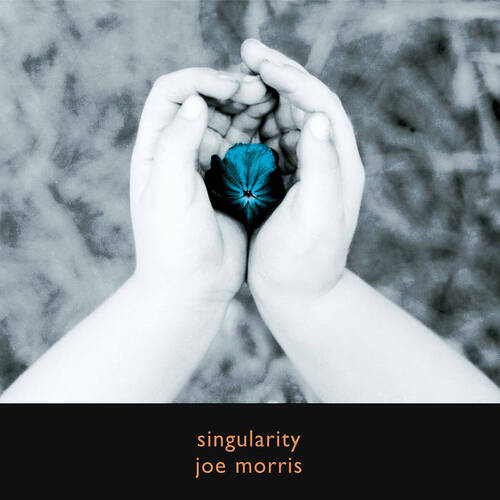 Joe Morris - singularity