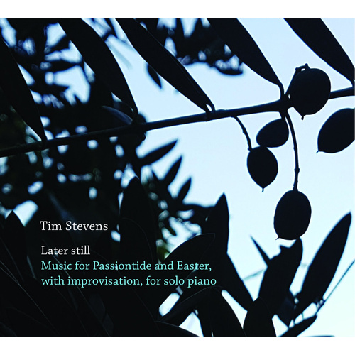 Tim Stevens - Later still