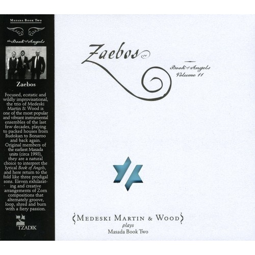 Medeski, Martin & Wood - Zaebos: Book of Angels Volume 11