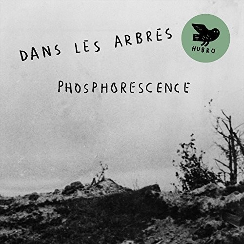 Dans Les Arbres - Phosphoresence