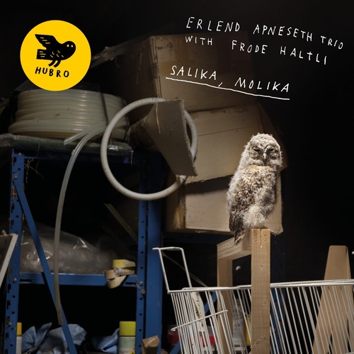 Erlend Apneseth Trio with Frode Haltli - Salika, Molika