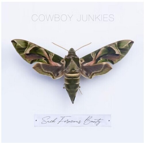 Cowboy Junkies - Such Ferocious Beauty
