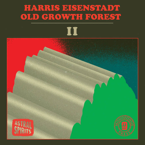 Harris Eisenstadt - Old Growth Forest II