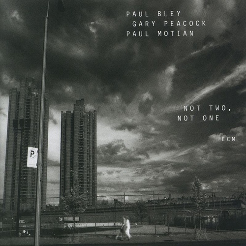 Paul Bley - Not Two, Not One