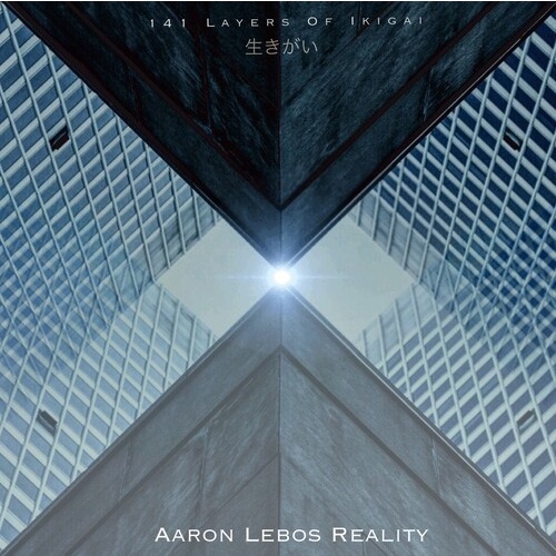 Aaron Lebos Reality - 141 Layers of Ikigai