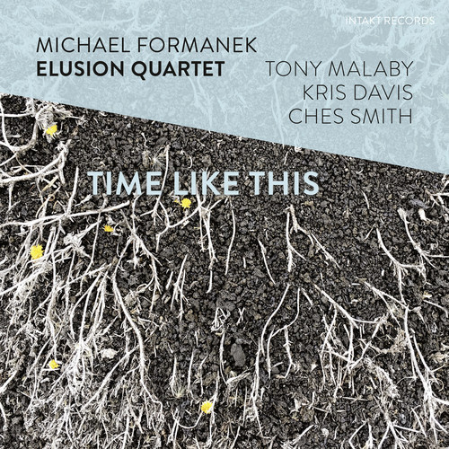 Michael Formanek Elusion Quartet - Time Like This