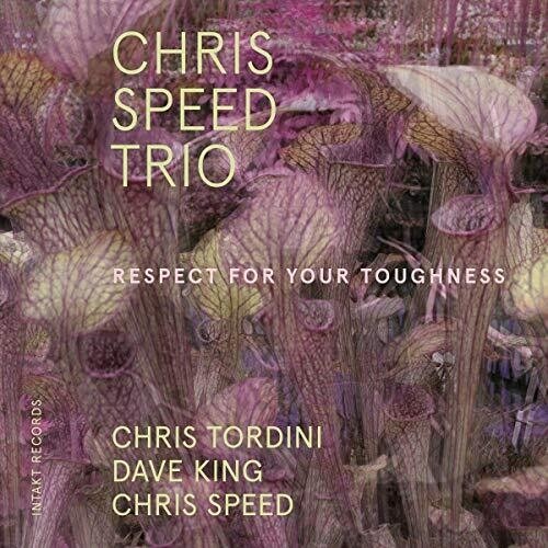 Chris Speed Trio - Respect for Your Toughness