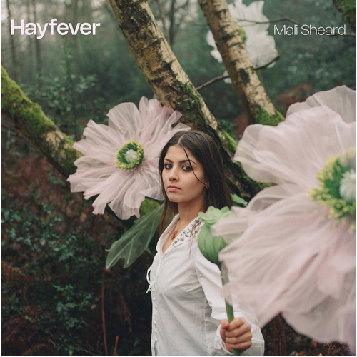Mali Sheard - Hayfever