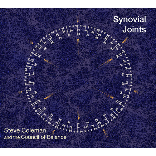 Steve Coleman & the Council of Balance - Synovial Joints