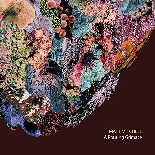 Matt Mitchell - A Pouting Grimace