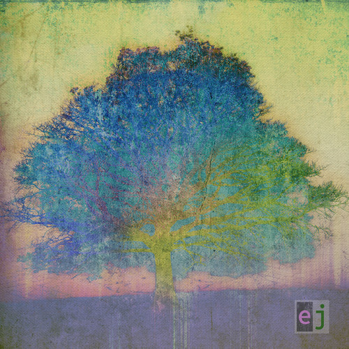 Eric Johnson - ej: Song Explorations on Acoustic Guitar and Piano