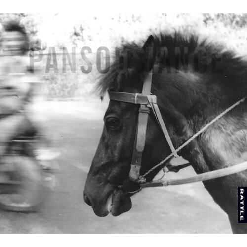 Rob Sinclair & Bevan Revell - Pansousiance