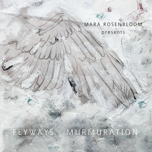 Mara Rosenbloom - Flyways: Murmuration
