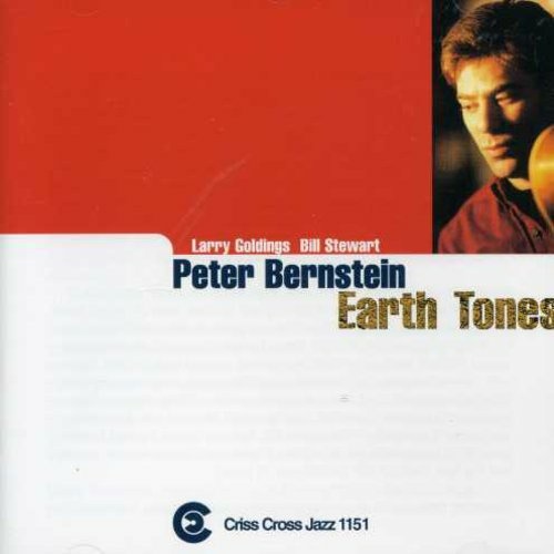 Peter bernstein Trio - Earth Tones