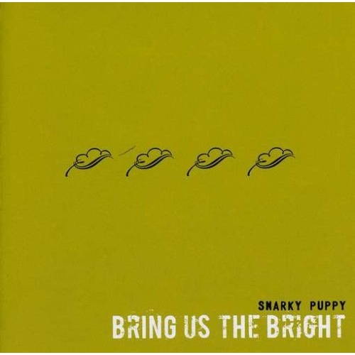 Snarky Puppy - Bring us the Bright