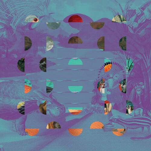 Jazz Dispensary Super Skunk - Vinyl LP