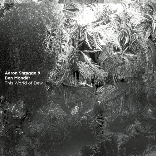 Aaron Shragge & Ben Monder - This World of Dew