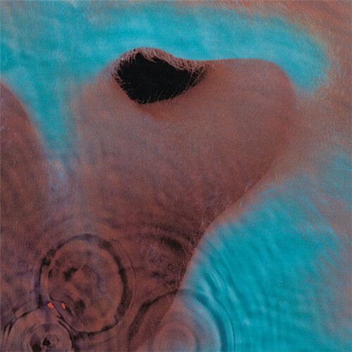 Pink Floyd - Meddle - 180g Vinyl LP