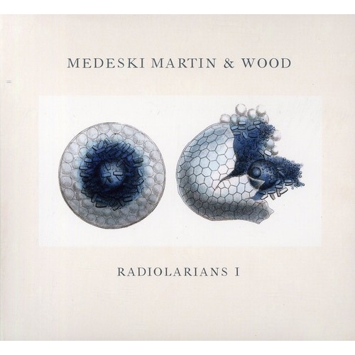 Medeski, Martin & Wood - Radiolarians I