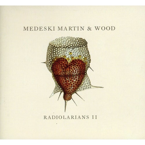 Medeski, Martin & Wood - Radiolarians II