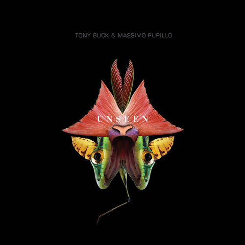 Massimo Pupillo & Tony Buck - Unseen