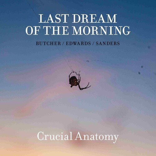 Last Dream of the Morning - Crucial Anatomy