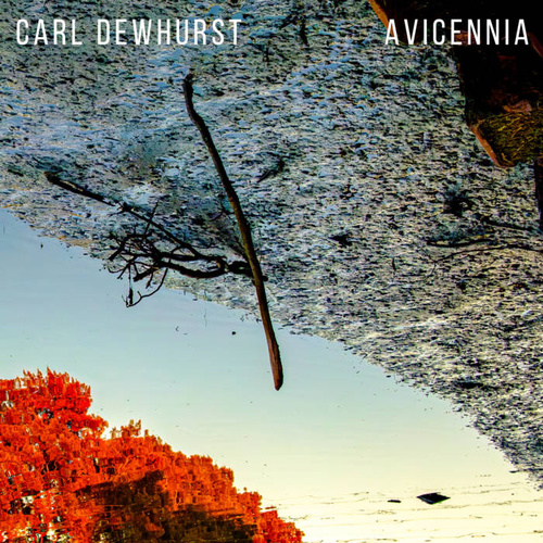 Carl Dewhurst - Avicennia